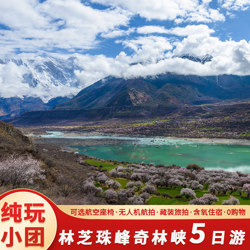 西藏拉萨珠峰林芝奇林峡五日四晚纯玩羊湖冰川5日跟团游