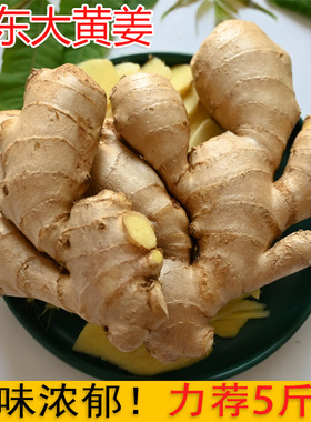 山东安丘大黄姜老姜生姜老黄姜力荐2500g装包邮姜味浓郁