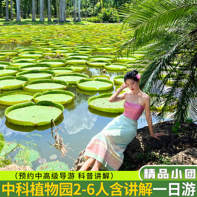 西双版纳私家团一日游