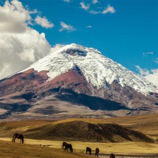 厄瓜多尔 基多科托帕希火山Limpiopungo Lagoon一日游