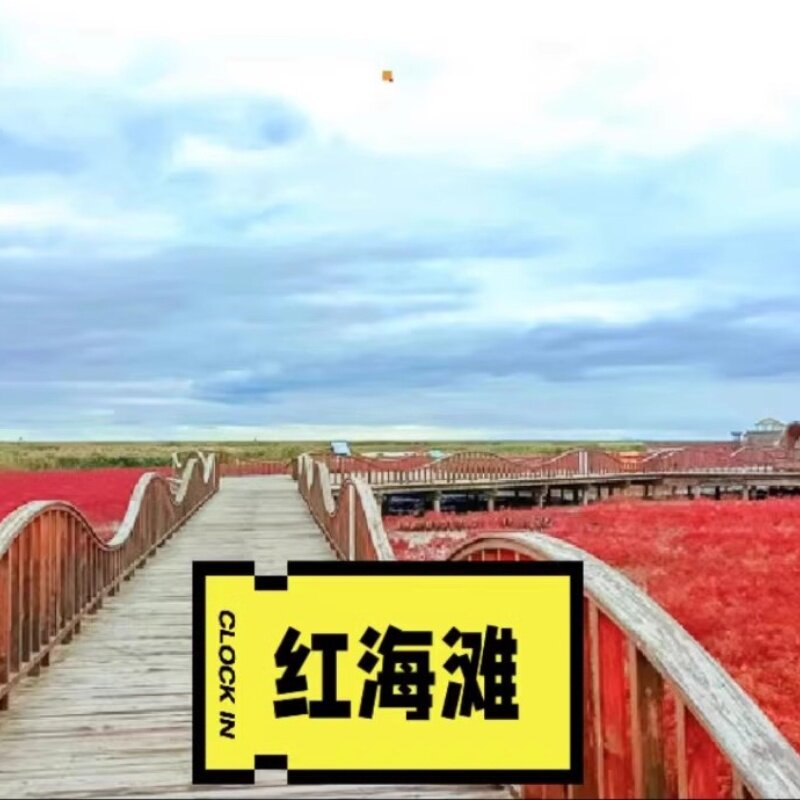 红海滩3日