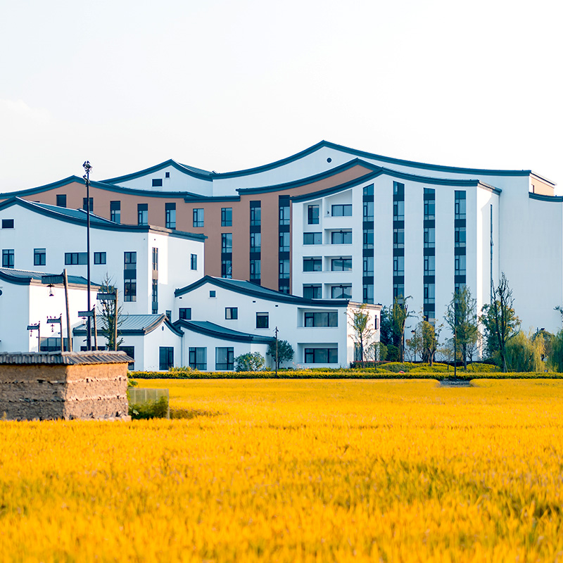 稻舍酒店住宿  1间1晚 西栅景区门票2大1小+乌村观光游门票2大1小（1.5米以下儿童） 耕读书吧扎染课堂/漆扇体验（定制书法内容）2选1 住宿期间无限次出入景区+免费游览车+免费行李托运+早餐