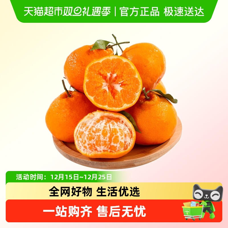 四川春见耙耙柑果肉饱满无籽清甜多汁超润喉应季鲜货