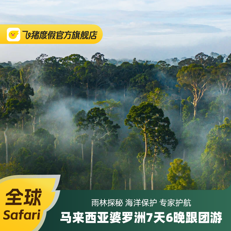 【全球Safari】马来西亚婆罗洲 7天6晚跟团游 雨林轻徒步 长鼻猴