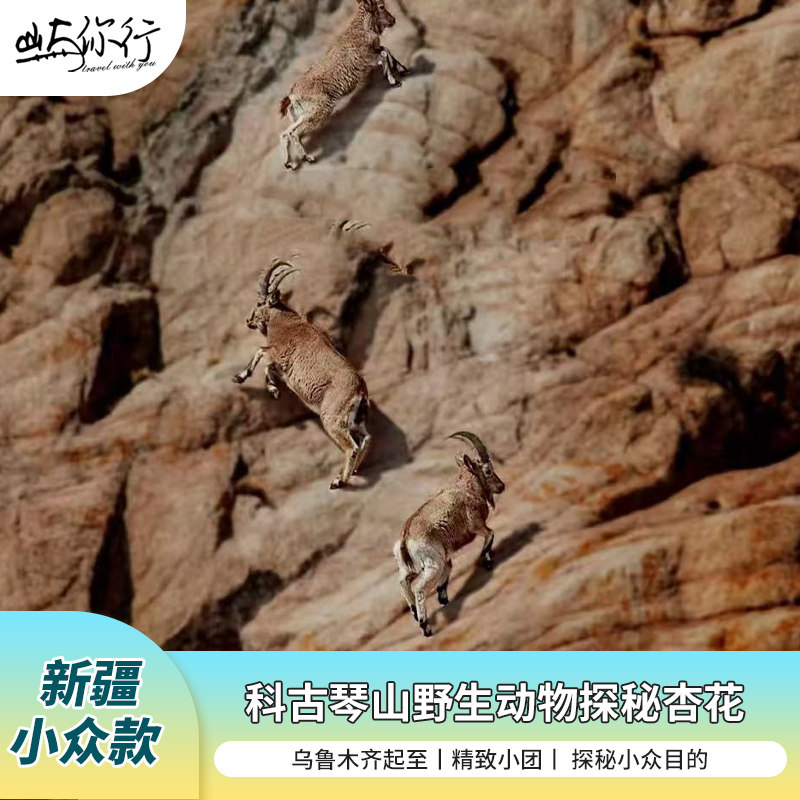 新疆小众款新疆无人区科古琴山/杏花沟/那拉提/赛里木湖7天6晚 