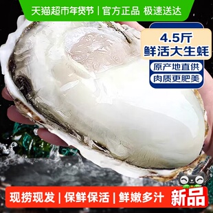 乳山生蚝鲜活特大海蛎子刺身新鲜牡蛎整箱