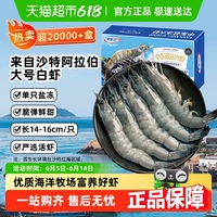 國聯(lián)大蝦鮮活速凍白蝦