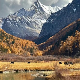 稻城理塘康定跟团游6天5晚4-6人打卡丁真故乡含木格措|稻城亚丁