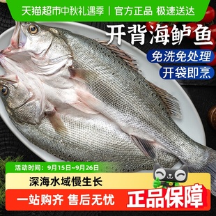 海鲈鱼开背新鲜冷冻鲜活深海鱼白蕉七星海卢鱼水产烤鱼半成品商用