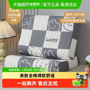 纯棉乳胶枕套30x50cm一对40x60单只全棉成人枕头套儿童枕芯内胆套