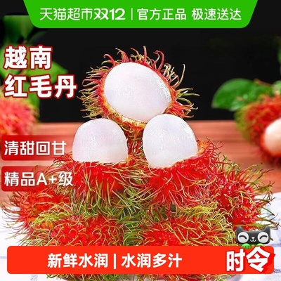 寻天果蔬越南红毛丹毛荔枝大果