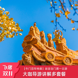 北京故宫博物院含门票预约大咖导游讲解一日游 可选百年特展