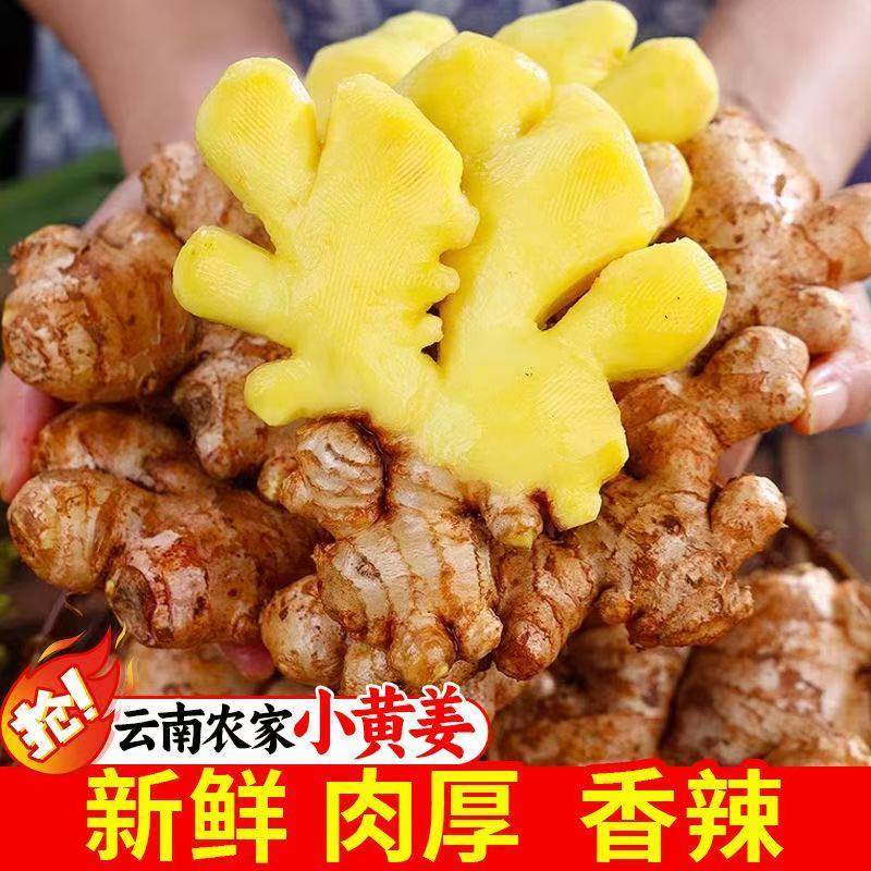 云南正宗小黄姜生姜新鲜小黄姜月子姜老姜土姜沙姜蔬菜