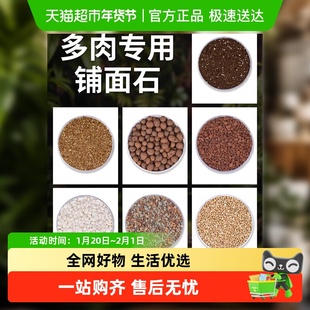 铺面石多肉专用颗粒土植物营养土花盆栽透气麦饭石陶粒火山石蛭石