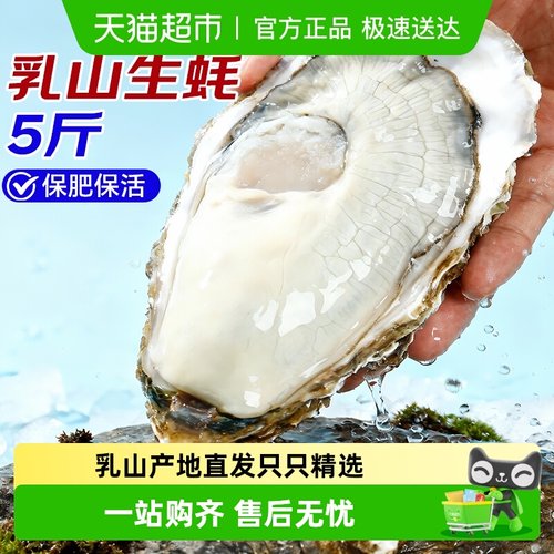 海仙部落生蚝特大鲜活