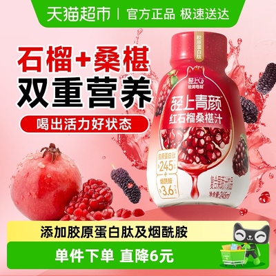 轻上红石榴桑椹汁果蔬汁饮料