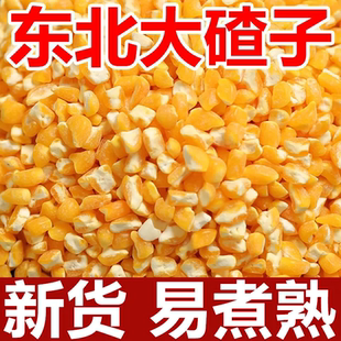 玉米特产碴子笨大碴子东北农家现磨苞米杂粮新鲜五谷玉米碴子