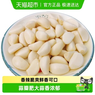 山东金乡大蒜新干蒜大蒜头精品果新鲜多瓣蒜蔬菜