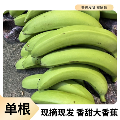 广西单根青皮香蕉时令水果无催化剂需留熟产地直发新鲜自然熟香甜