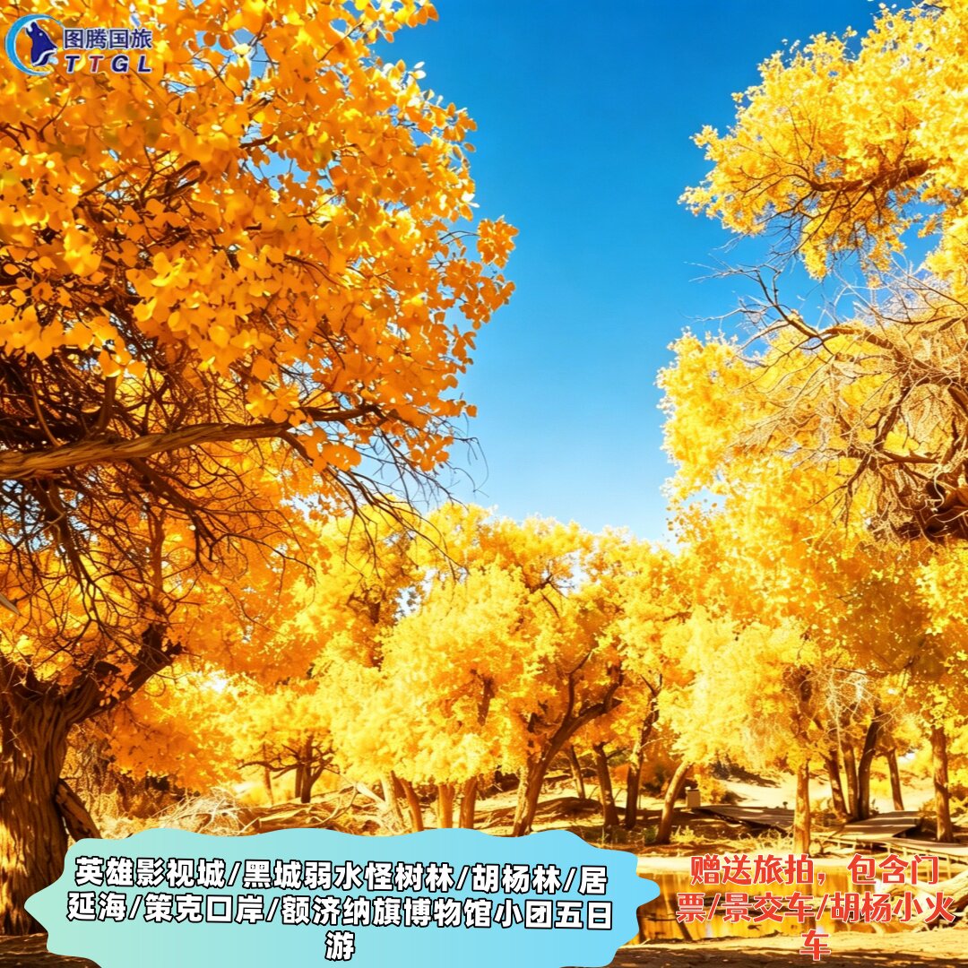 呼和浩特额济纳旗五日游/英雄城/黑城弱水怪树林/居延海/胡杨林