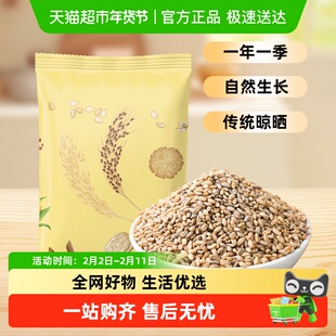 邹有才蓝青稞米高原特产新米粗粮主食五谷杂粮煮粥谷物煮饭麦仁