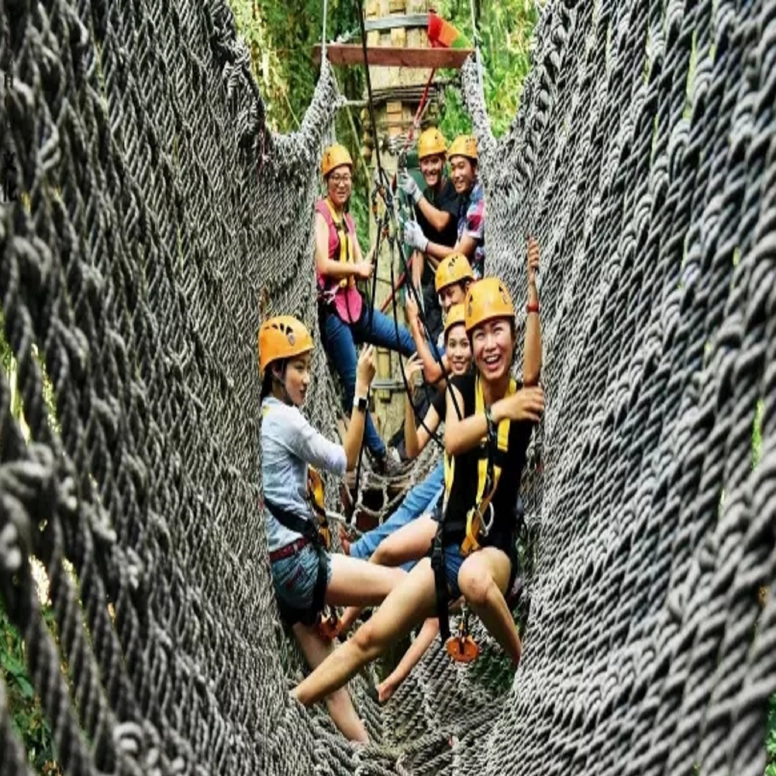 [西双版纳原始森林公园-大门票+电瓶车+A段丛林飞跃]大门票+电瓶车+A段丛林飞跃
