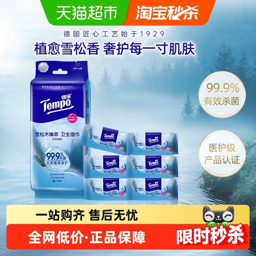 Tempo/得宝迷你便携湿巾湿巾