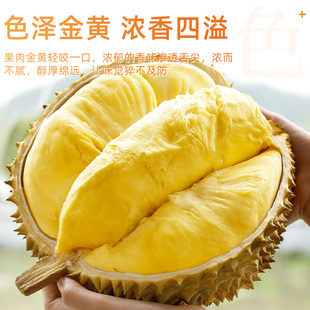 整箱水果巴掌肉顺丰可选 正宗泰国金枕榴莲新鲜一整个带壳当季