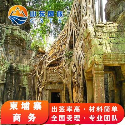 柬埔寨商务贴纸签证电子简化加急一年两年三年多次全国受理