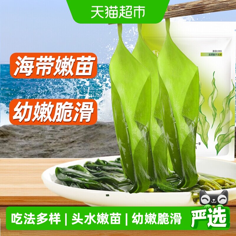 赶海弟盐渍海带苗新鲜小海带200g火锅凉拌海带芽小苗非干货裙带菜