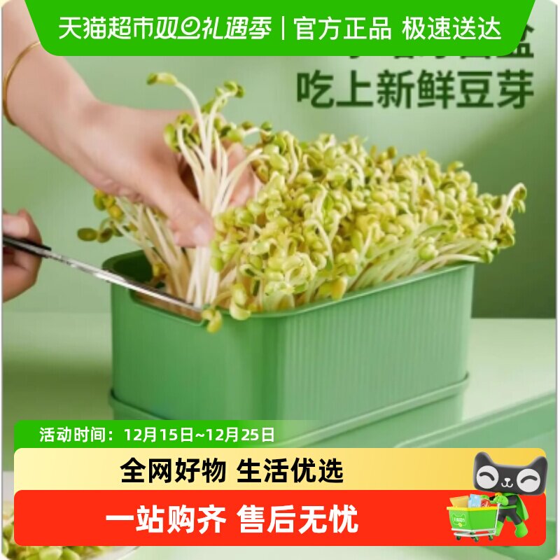 豆芽发芽育苗盆