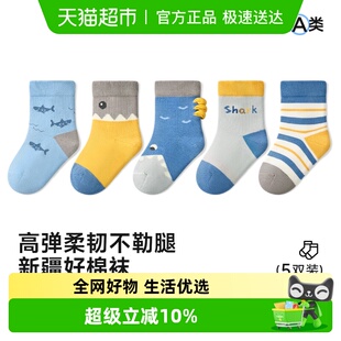 尼多熊2025宝宝袜子春秋季 无骨棉袜男宝婴儿袜可爱儿童袜中小童袜