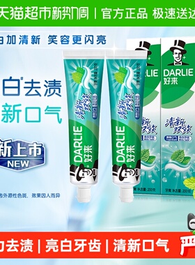 DARLIE好来(原黑人)牙膏清新双效200g*2支套装大容量清新口气