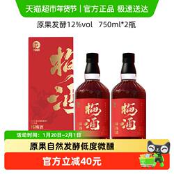 【杨梅发酵】红动杨梅果酒750mlx2瓶装梅子酒12度微醺低度女士酒
