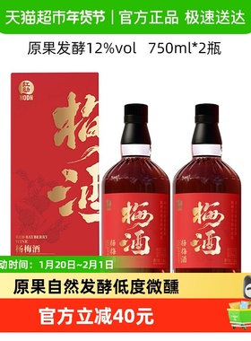 【杨梅发酵】红动杨梅果酒750mlx2瓶装梅子酒12度微醺低度女士酒