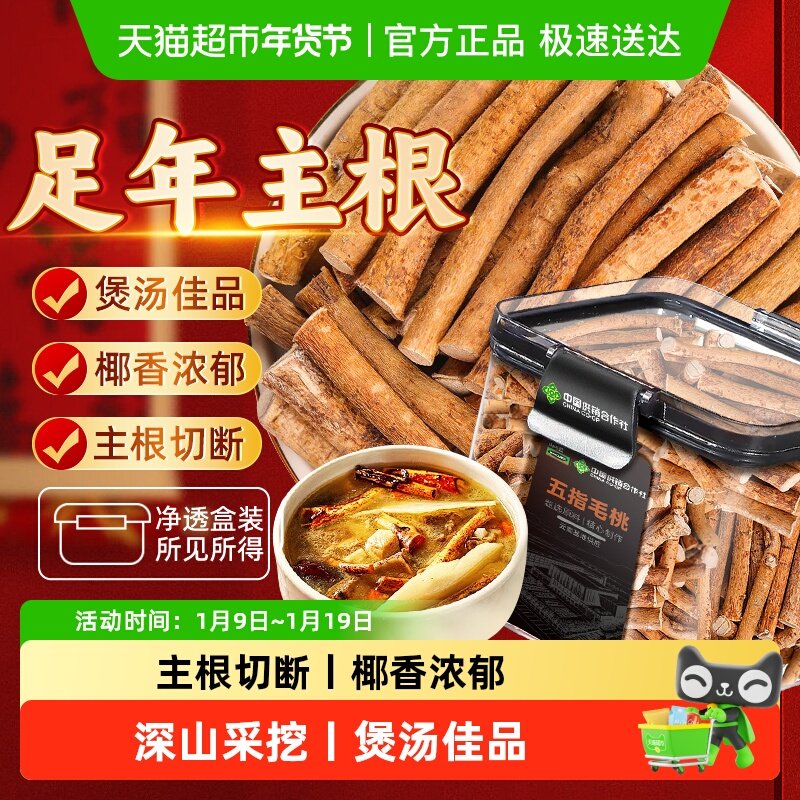 正宗五指毛桃深山五指毛桃搭茯苓当归灵芝煲汤四季温和滋养养生茶