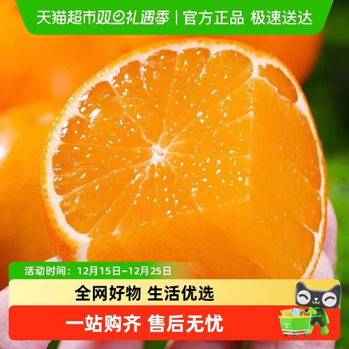 新鲜爱媛果冻橙橙子