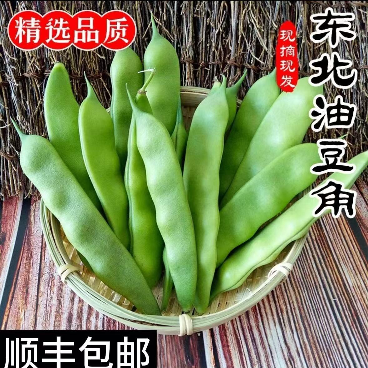 顺丰包邮东北油豆角新鲜开锅烂豆角老将军一点红农家自种特产美食