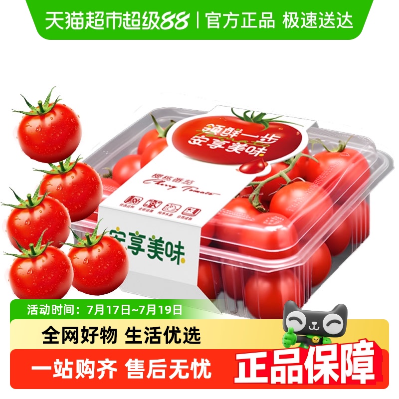 【详情淘金币大额抵】知翠樱桃番茄生吃小西红柿脆甜多汁水果柿子