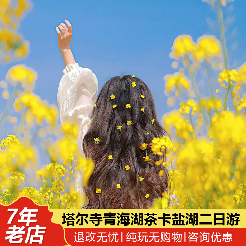 青海旅游拼车2天1晚塔尔寺青海湖茶卡盐湖拉脊山金沙湾纯玩无购物