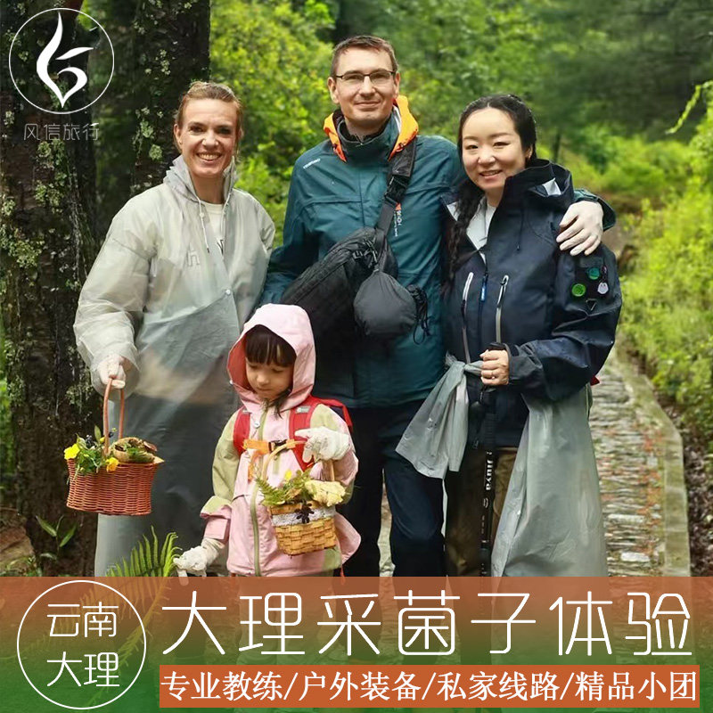 大理采菌子一日游丨大理采蘑菇捡菌子精品小团亲子徒步私家线路