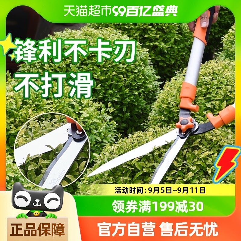 ����Ʒ���ʡ������ڴ�֦����֦��֦������֦����������԰�ֹ���