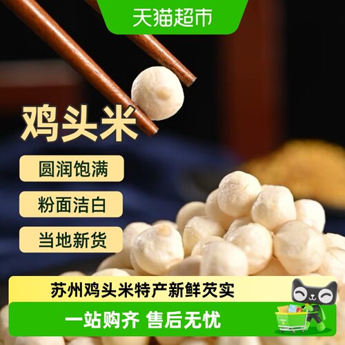 其他苏州鸡头米当季新货独立包装