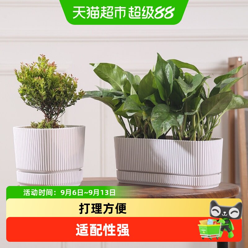 北欧简约带底盘花盆家用加厚耐用多肉绿植小盆栽花盆直筒种植盆