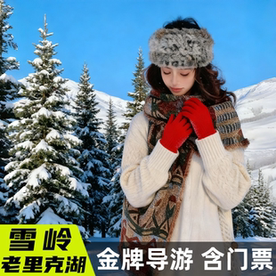 长白山雪岭一日游东北旅游小团含门票导游上门接送去老里克湖跟团