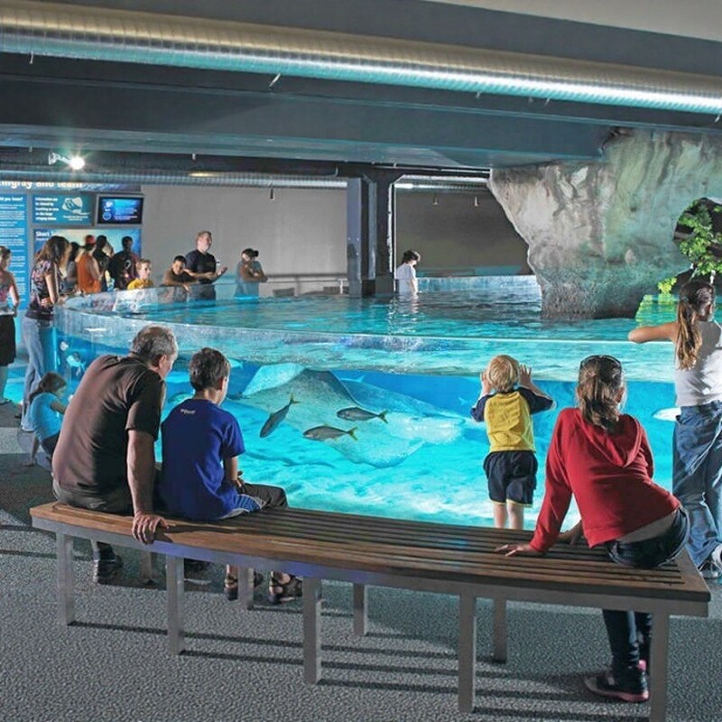 [凯莉-塔尔敦海洋生物水族馆-大门票]新西兰旅游 奥克兰凯利塔顿水族馆门票Kelly Tarl