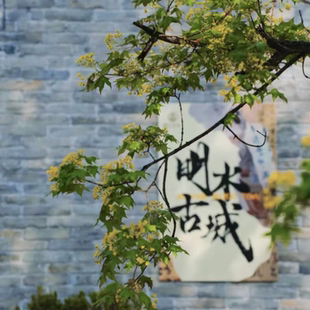 【清照故里·泉涌千年】宿明水古城1晚丨半程拼船票+门票+X体验