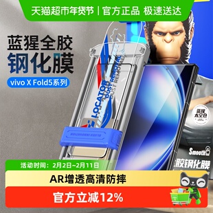 蓝猩先生太空仓vivoxfold5钢化膜ar增透vivo手机膜防窥xfold5保护