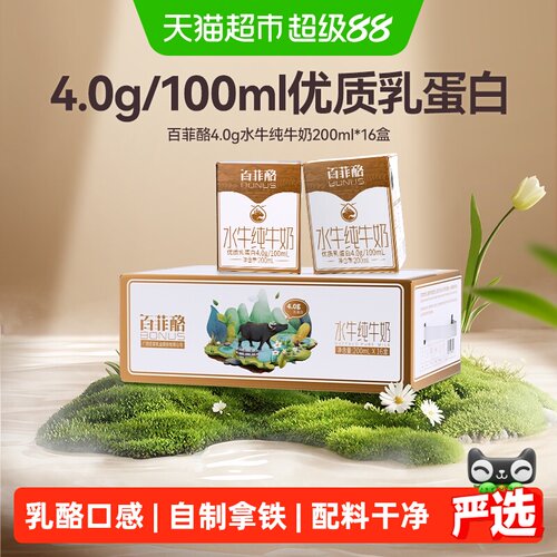 百菲酪水牛纯牛奶优质乳蛋白