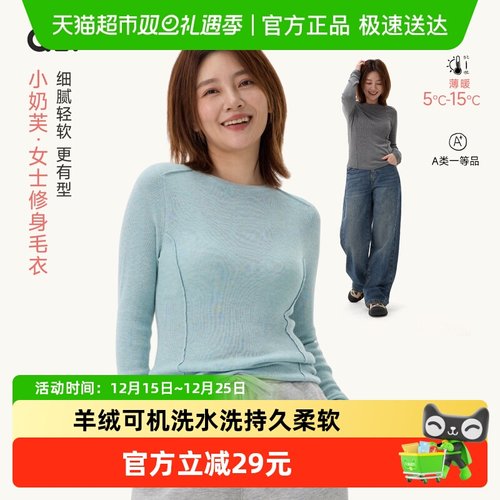 Q21纯色修身毛衣秋可机洗针织衫
